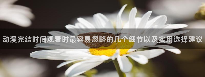 动漫里番 在线观看：动漫完结时间观看时最容易忽略的几个细节以及实用选择建议