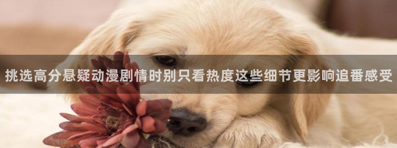 中国里番动漫在线观看：挑选高分悬疑动漫剧情时别只看热度这些细节更影响追番感受
