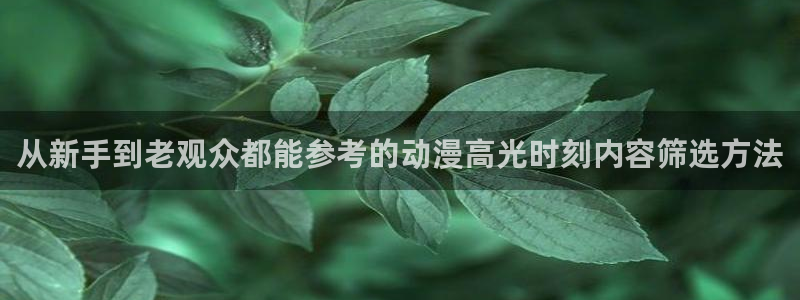 里番s动漫在线观看：从新手到老观众都能参考的动漫高光时刻内容筛选方法