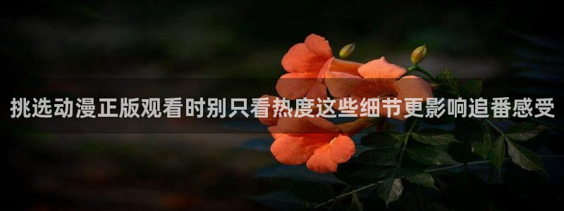 里番纲手在线观看动漫：挑选动漫正版观看时别只看热度这些细节更影响追番感受