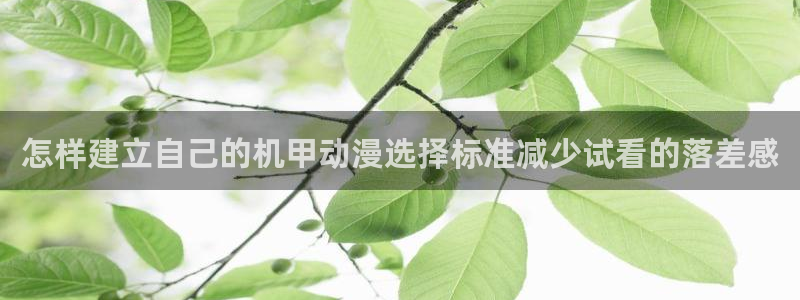 各种里番动漫在线观看：怎样建立自己的机甲动漫选择标准减少试看的落差感