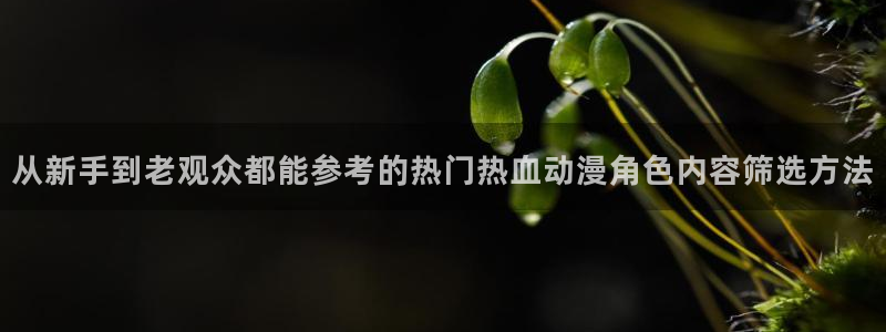 动漫里番资源在线观看：从新手到老观众都能参考的热门热血动漫角色内容筛选方法