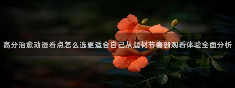 3d动漫里番在线观看：高分治愈动漫看点怎么选更适合自己从题材节奏到观看体验全面分析