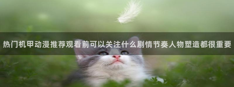日系里番在线观看动漫：热门机甲动漫推荐观看前可以关注什么剧情节奏人物塑造都很重要