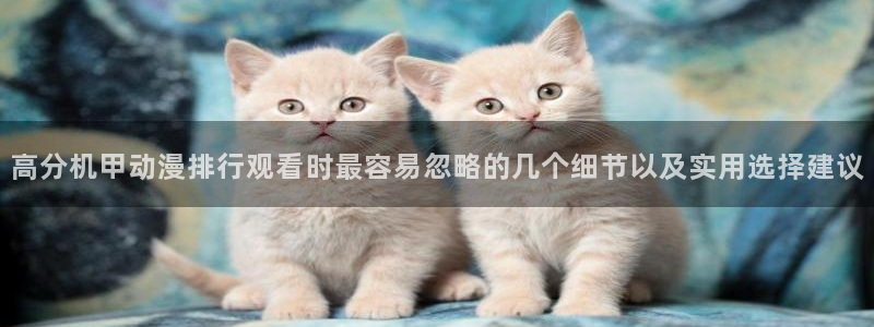 母系里番动漫在线观看：高分机甲动漫排行观看时最容易忽略的几个细节以及实用选择建议