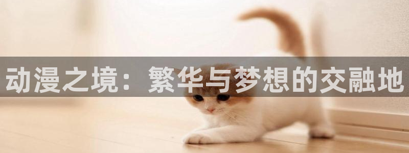 里番动漫在线观看安卓：动漫之境：繁华与梦想的交融地