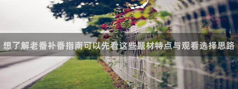 番里动漫在线观看：想了解老番补番指南可以先看这些题材特点与观看选择思路
