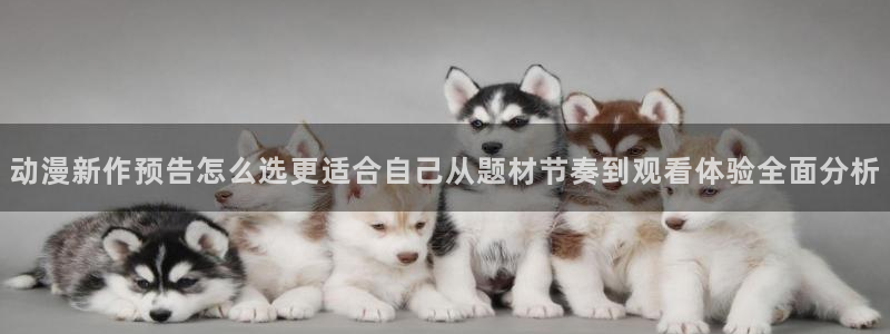 里番午夜动漫在线观看：动漫新作预告怎么选更适合自己从题材节奏到观看体验全面分析