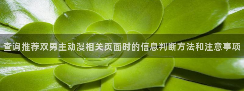 肉番里番动漫在线观看