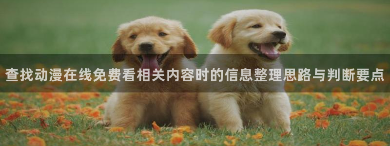 里番在线观看全集动漫