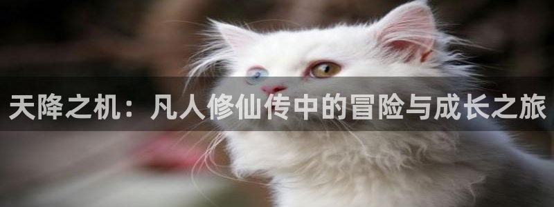 动漫里番在线在线观看
