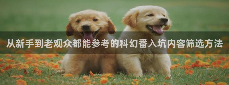 中国里番动漫在线观看：从新手到老观众都能参考的科幻番入坑内容筛选方法